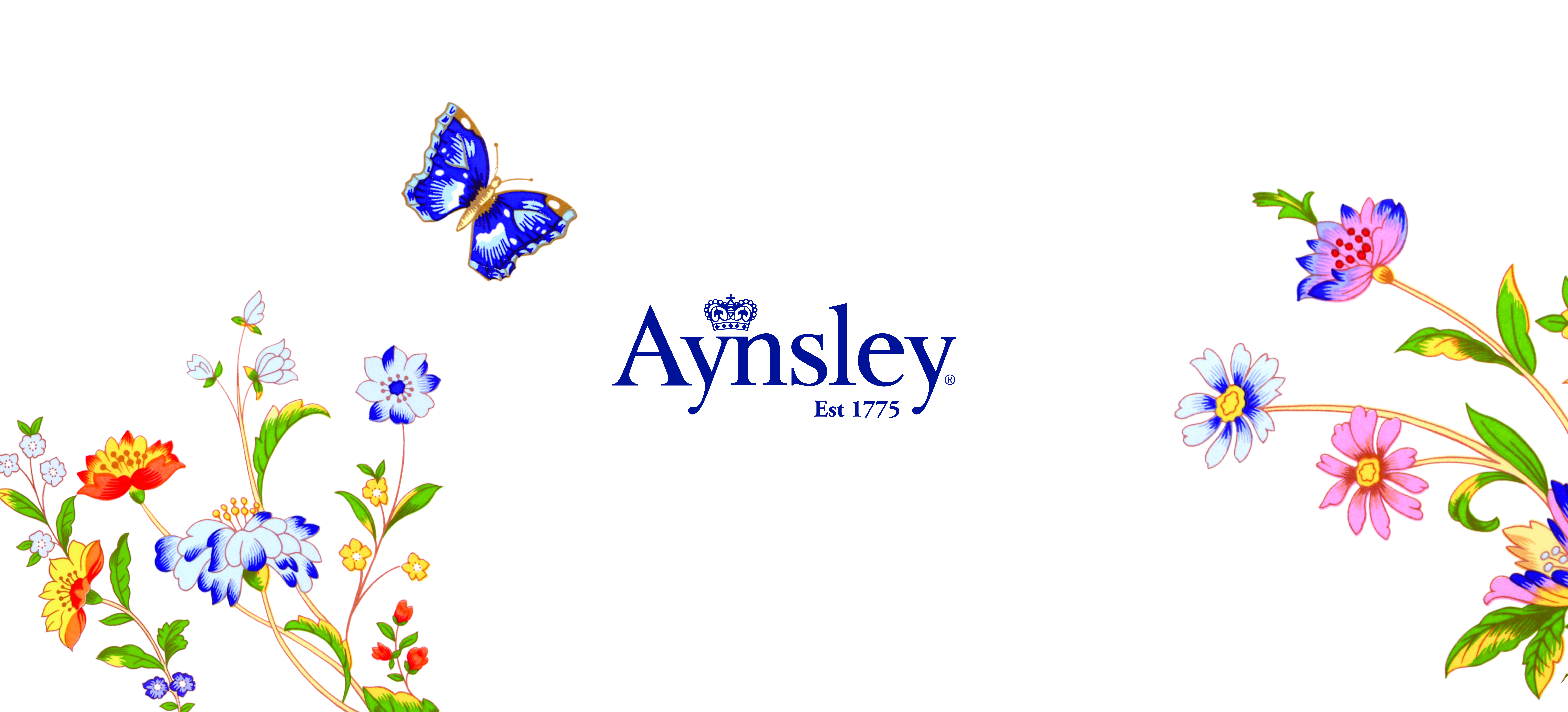 Aynsley slider 1